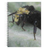 Rainy Days Notitieboek (Voorkant)