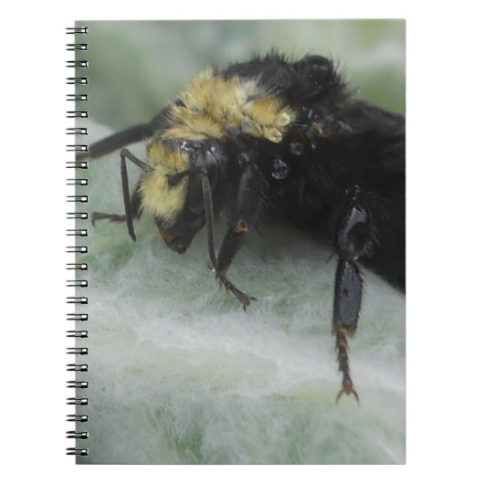 Rainy Days Notitieboek (Voorkant)