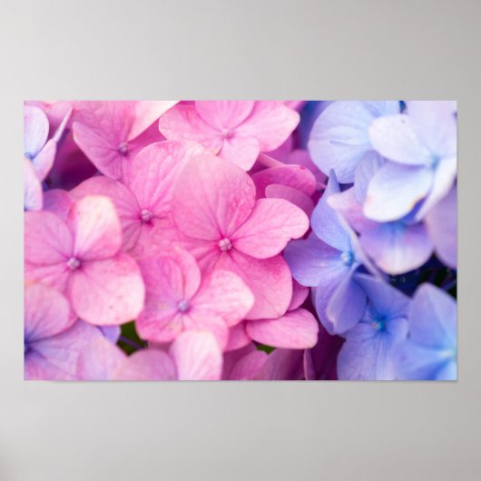 Rainy Days Poster (Voorkant)