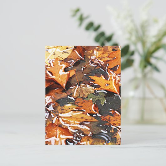 Rainy Fall Leaves Briefkaart (Staand voorkant)