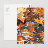 Rainy Fall Leaves Briefkaart (Voorkant / Achterkant)