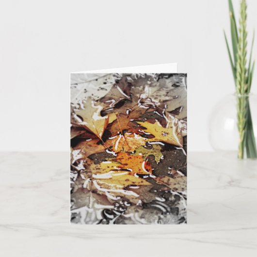 Rainy Fall Leaves Fadeout Notecard Kaart (Voorkant)