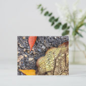 Rainy Leaves Briefkaart (Staand voorkant)