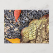 Rainy Leaves Briefkaart (Voorkant)