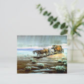 RAINY STAGECOACH VAN SHARON SHARPE BRIEFKAART (Staand voorkant)