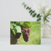 Raisin d'Alsace Briefkaart (Staand voorkant)