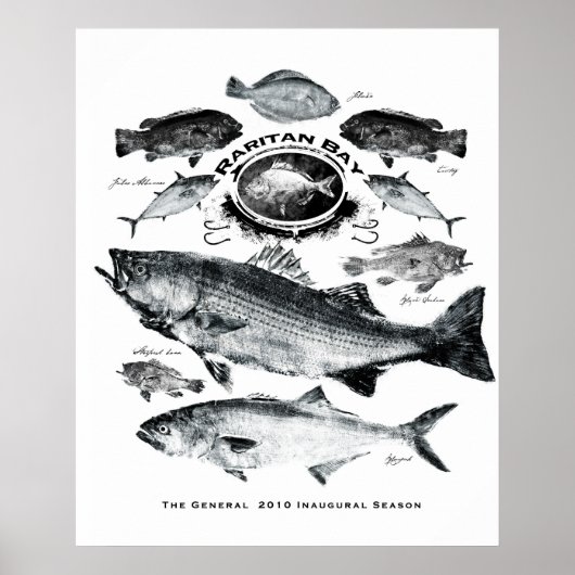 raitse baai poster (Voorkant)