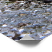 Raja Ampat Sweetlips Poster (Hoek)