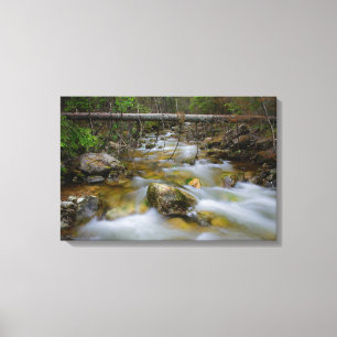 Rakeek canvasafdruk canvas afdruk