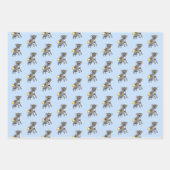 Raket Koala Beer Inpakpapier Vel (Voorkant)