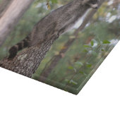 Raket op krabber snijplank (Hoek)