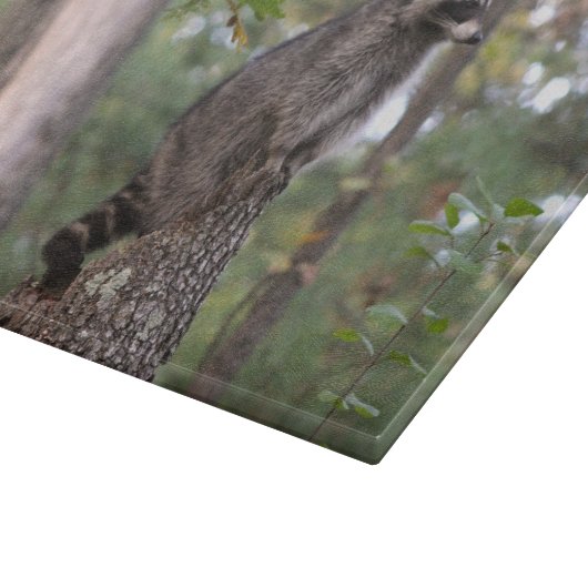 Raket op krabber snijplank (Hoek)