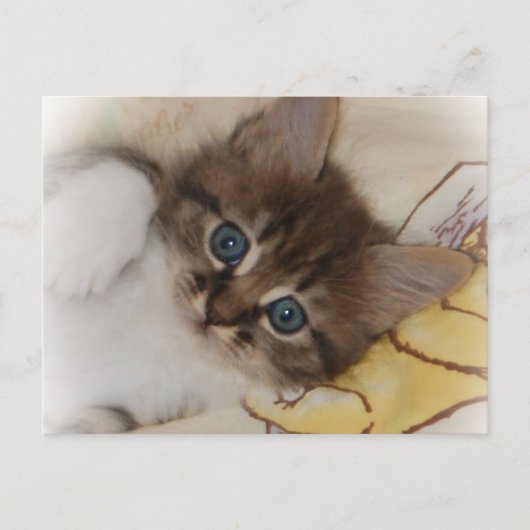 RaketBriefkaart Briefkaart (Voorkant)