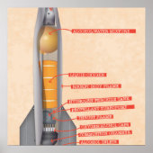 Raketdiagram Poster (Voorkant)