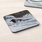 Raketgebergte Magpie 6 plastic onderzetters (Linkerzijde)