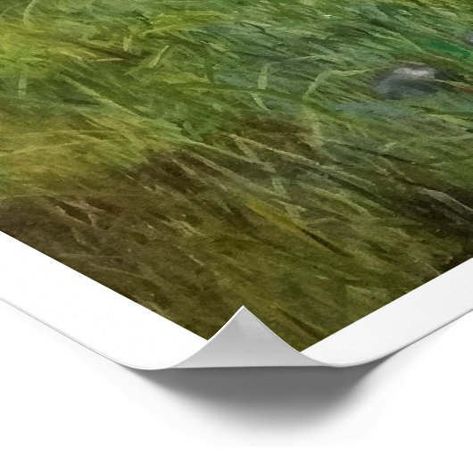 RaketPoster Poster (Hoek)