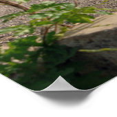 Rakkasan Poster (Hoek)