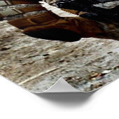 Rakkasan Poster (Hoek)