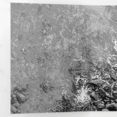 Rakken in het zee, boven uitzicht 2 drieluik wenskaart (Binnenzijde eerst)