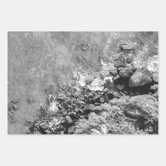 Rakken in het zee, boven uitzicht 2 inpakpapier vel (Voorkant 3)