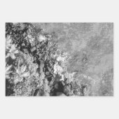 Rakken in het zee, boven uitzicht 2 inpakpapier vel (Voorkant 2)