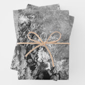 Rakken in het zee, boven uitzicht 2 inpakpapier vel (In situ)