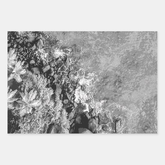 Rakken in het zee, boven uitzicht 2 inpakpapier vel (Voorkant)