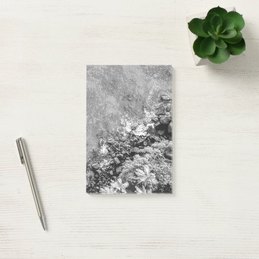 Rakken in het zee, boven uitzicht 2 post-it® notes (Kantoor)