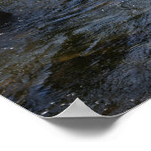 Rakken in stroom Natuur Poster (Hoek)