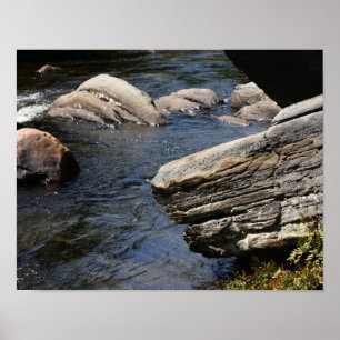 Rakken in stroom Natuur Poster
