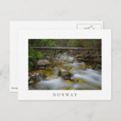 Rakker woud maakt witte tekst briefkaart (Voorkant / Achterkant)