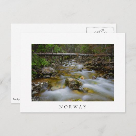 Rakker woud maakt witte tekst briefkaart (Voorkant / Achterkant)