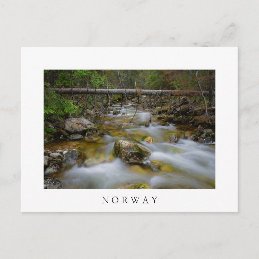 Rakker woud maakt witte tekst briefkaart (Voorkant)