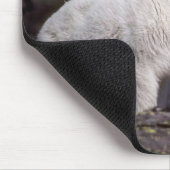 Rakkergebergte (groot mannetje) muismat (Hoek)