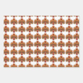 Raksha Mask Inpakpapier Vel (Voorkant)