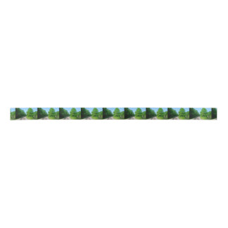 Raleigh County Train Tracks Satijnen Lint