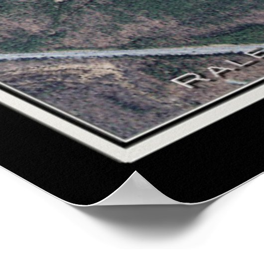 Raleigh-Durham Intl Airport Satellite Map Poster (Hoek)