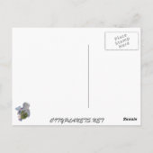 raleigh nc briefkaart (Achterkant)