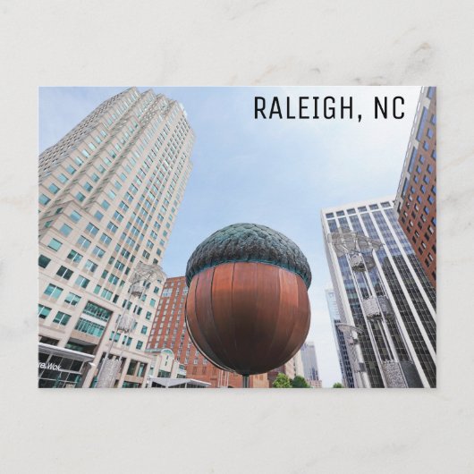 Raleigh North Carolina Acorn City Skyline Travel Briefkaart (Voorkant)