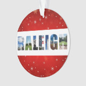 Raleigh North Carolina Reisfoto's Kerstmis Ornament (voorkant)