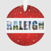 Raleigh North Carolina Reisfoto's Kerstmis Ornament (voorkant)