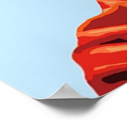 Raleigh Ritchie Poster (Hoek)