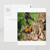 Ralph W Emerson "Pace of Natuur" Wisdom Quote Gift Briefkaart (Voorkant / Achterkant)