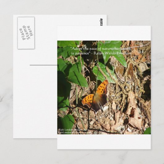 Ralph W Emerson "Pace of Natuur" Wisdom Quote Gift Briefkaart (Voorkant / Achterkant)