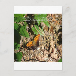 Ralph W Emerson "Pace of Natuur" Wisdom Quote Gift Briefkaart