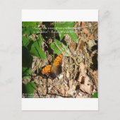 Ralph W Emerson "Pace of Natuur" Wisdom Quote Gift Briefkaart (Voorkant)