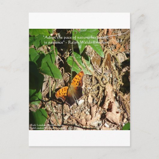 Ralph W Emerson "Pace of Natuur" Wisdom Quote Gift Briefkaart (Voorkant)