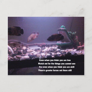 ralph W Staples Quotations Briefkaart
