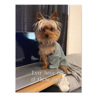 Ralphie de Theekop Yorkie Een Van Die Dagen Foto Afdruk