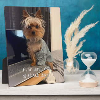 Ralphie de Theekop Yorkie Een Van Die Dagen Fotoplaat